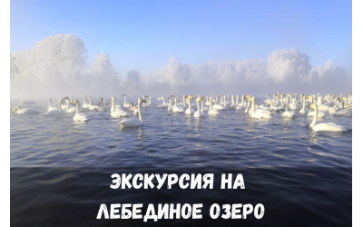 Экскурсия на Лебединое озеро (Советский район)