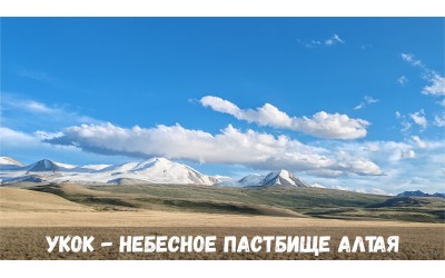 Укок-небесное пастбище Алтая: летняя экспедиция к истокам.